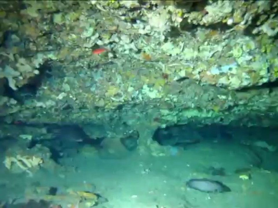 Sortie encadrant Thalassa Sept 2013