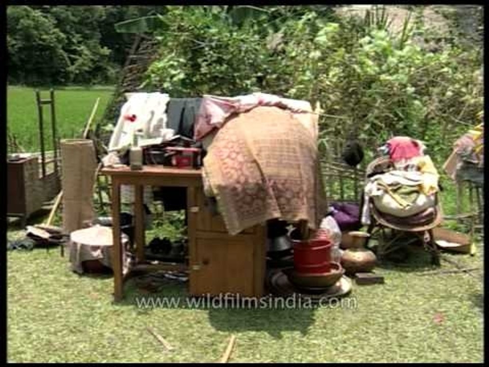 Destruction caused by wild elephants