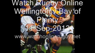 Watch Wellington vs Bay of Plenty Live Streaming