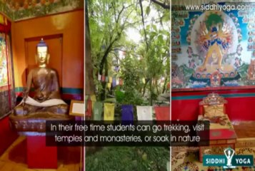 Siddhi Yoga: Yoga Teacher Training in Dharamsala