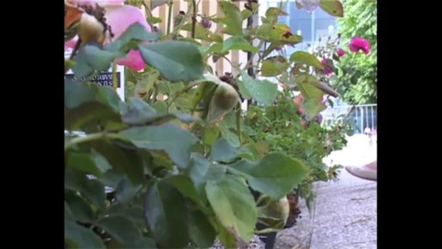Musiques aux Jardins à Enghien-les-Bains