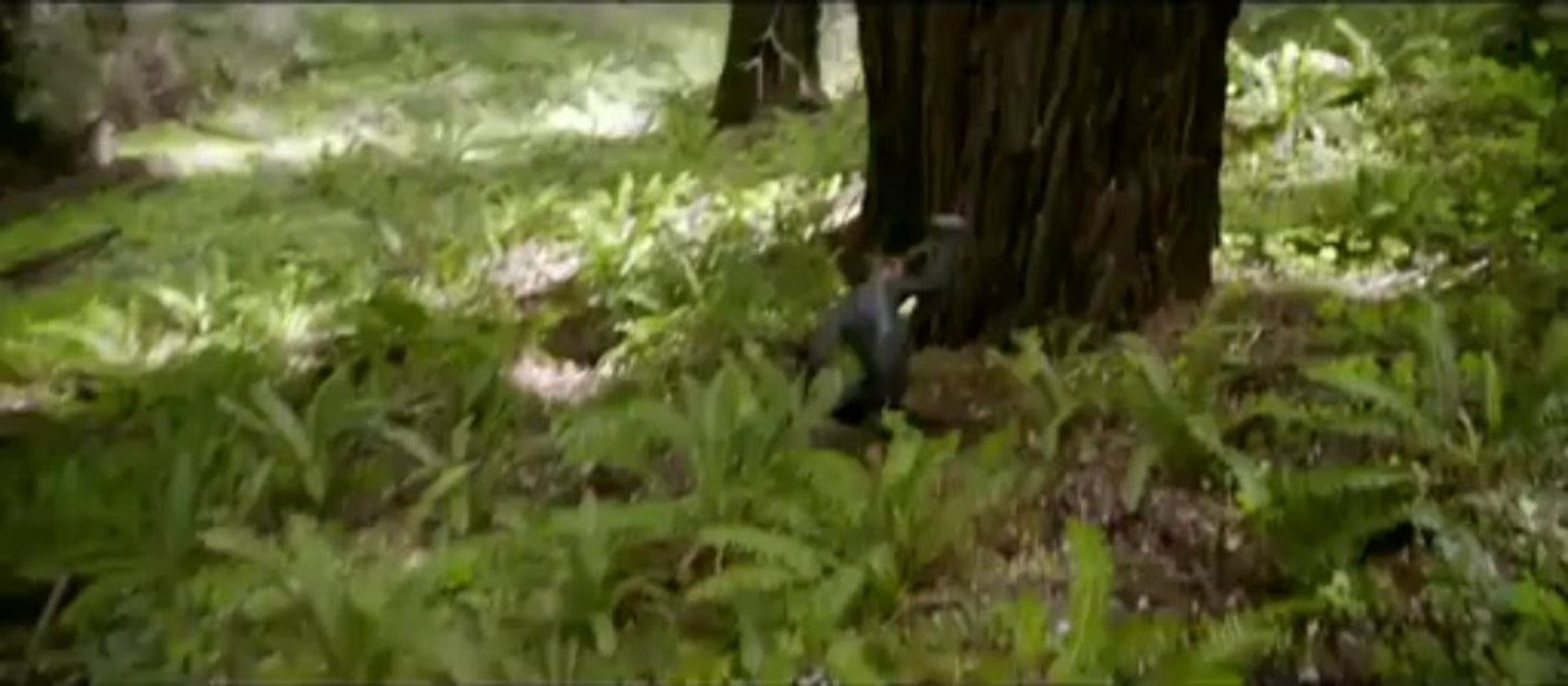 Yuel Boyce - After Earth (2013) -Yuel L Boyce