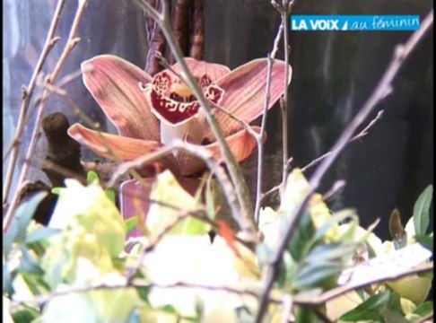 Saint-Valentin : fleurs ou cadeau coquin ?