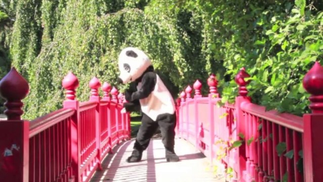 Flash mob du 21 septembre : la chorégraphie