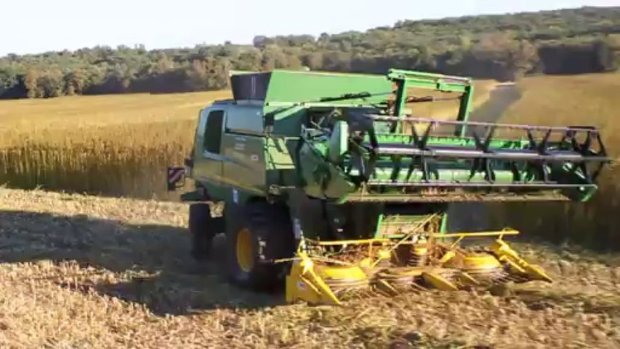 Récolte du Chanvre avec une moissonneuse modifiée pour récolter la graine et la tige