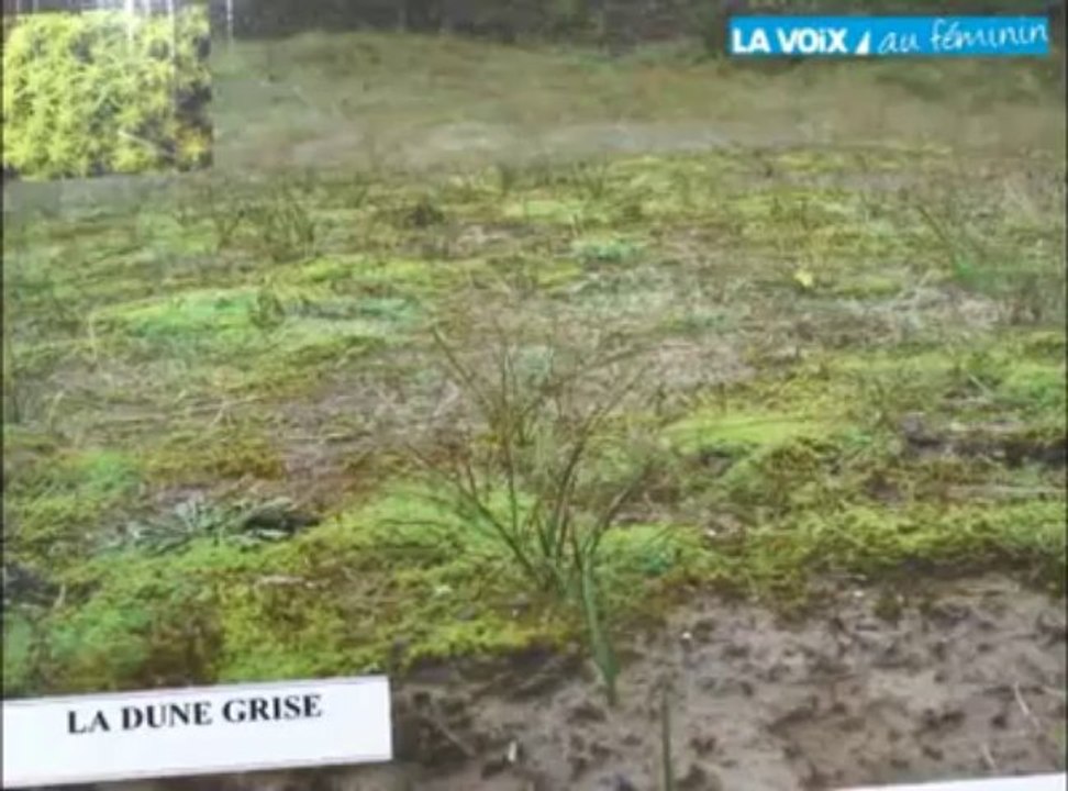 [VIDEO] Idée de sortie: une balade dans les dunes