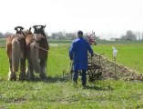 Labours à l'ancienne