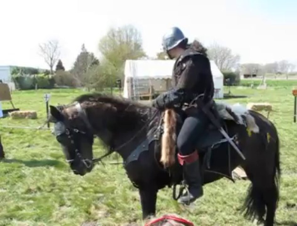 Marais-de-Guines chevalier