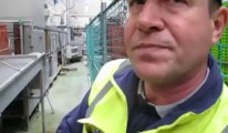 Boulogne-sur-Mer : les coulisses de la station de lavage des caisses à poissons