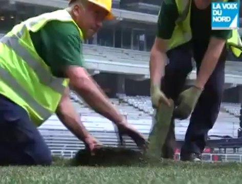 Le Grand Stade a sa pelouse ! (04/07/2012)