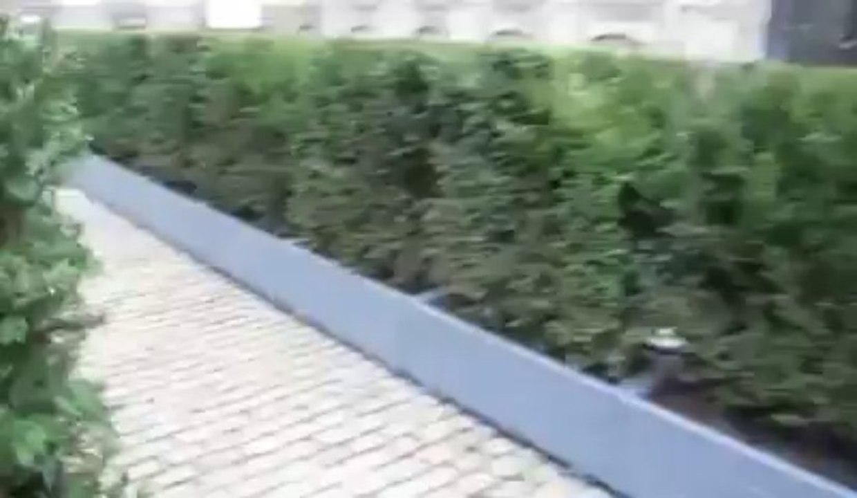 Arras : à l'intérieur du labyrinthe végétal de "Roulez Carrosses"