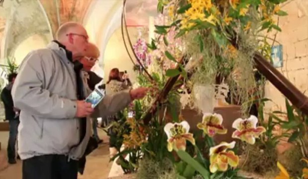 23e exposition internationale d'Orchidées à l'abbaye de Vaucelles