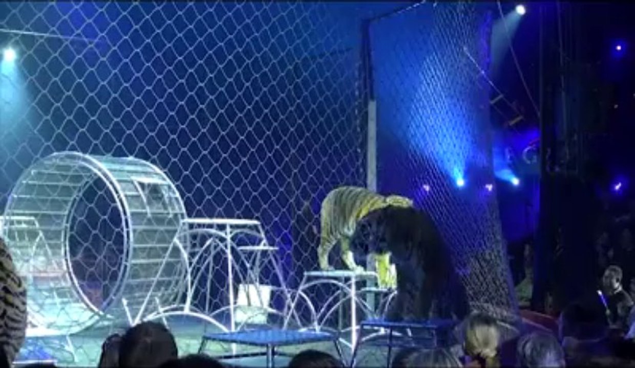 Le cirque Arlette Gruss en représentation à Lille