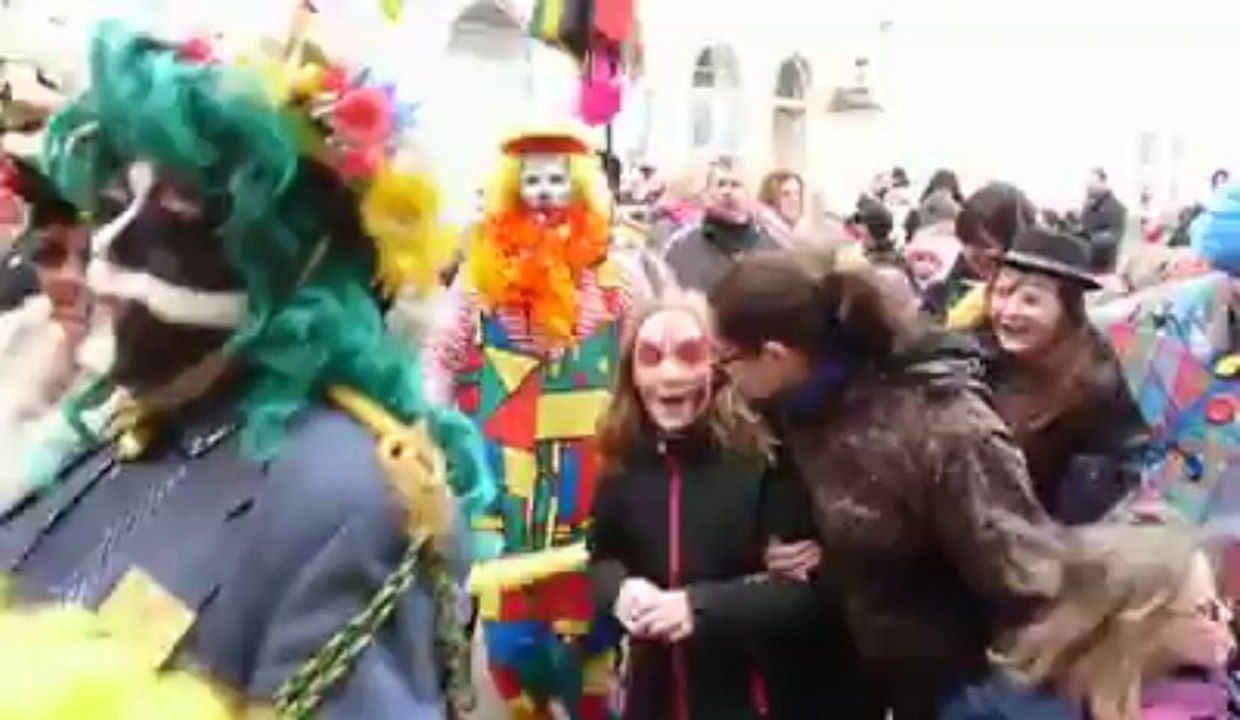 Hazebrouck : la bande des lapins a fait son carnaval
