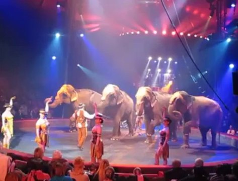 Le cirque Gruss à Dunkerque : le numéro des éléphants