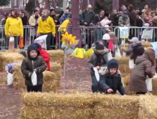 Chasse aux oeufs à Calais