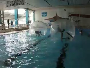 Comines (B) : ils ont marché sur l'eau à la piscine Aqualys