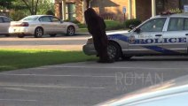 Prankster Pees On Police Car And Escapes