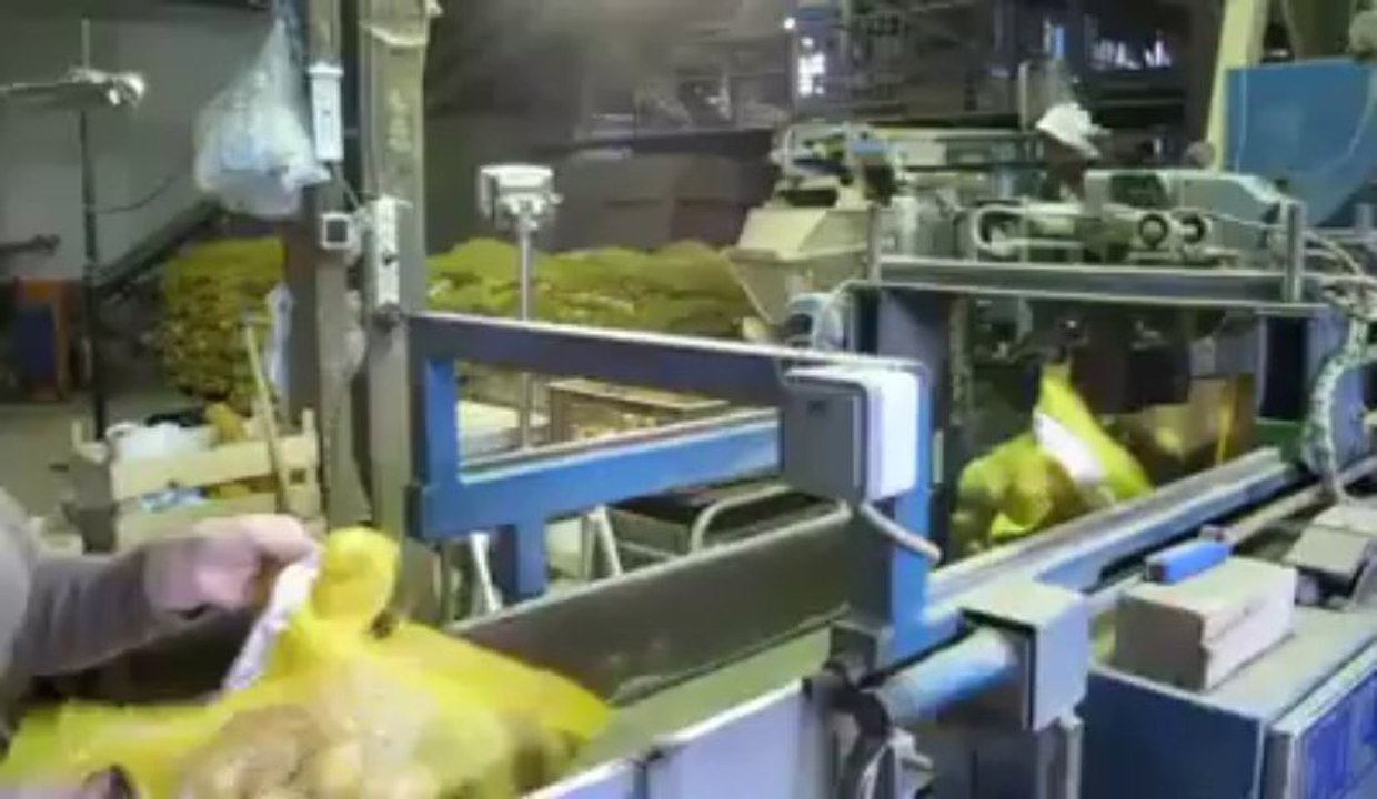 Le centre de triage de pommes de terre de Chantal Deboudt