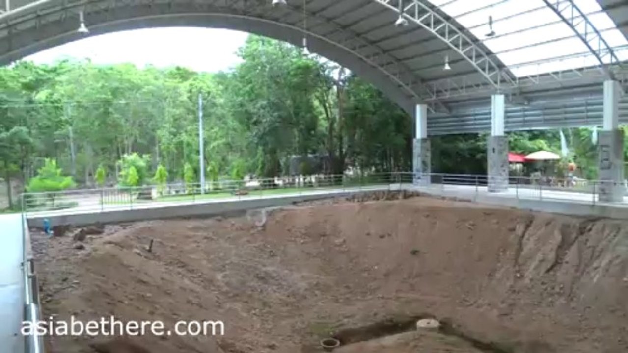 World's largest fossil tree in Bantak Petrified Forest Park Tak Thailand