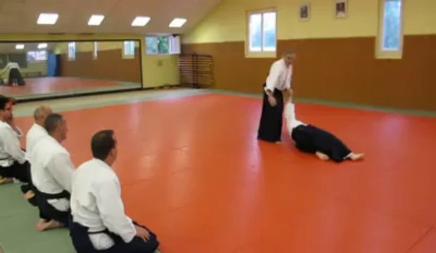 Armentières : Lors du dernier cours de l'année, les aïkidokas ont répété leurs gammes