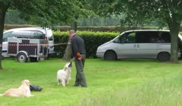 Oeuf-en-Ternois : fête de la chasse