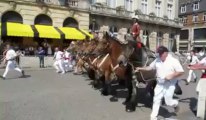 Cambrai: la cavalcade des traits du Nord