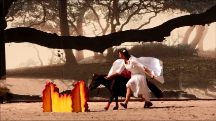 Symbiose - 1er septembre - Haras de Vendée