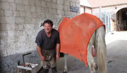 Les Dimanches de l'Artois à Noyelle-Vion