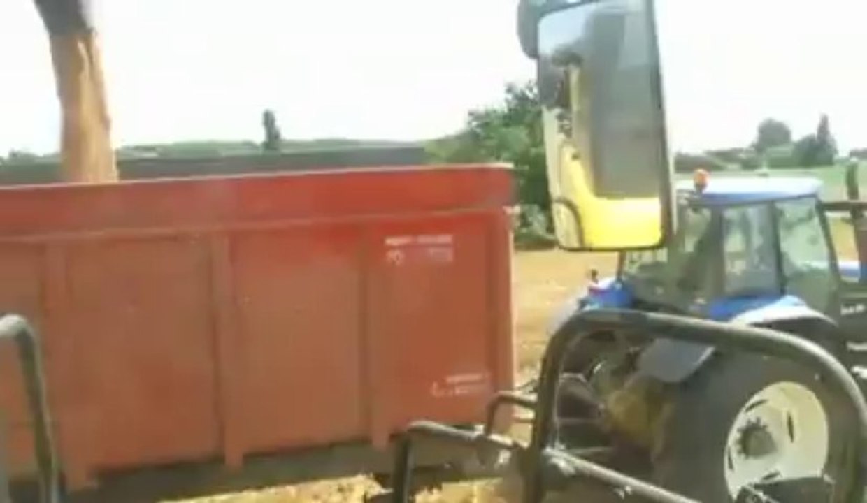 La moisson, ce lundi après-midi, dans un champ de Bourlon
