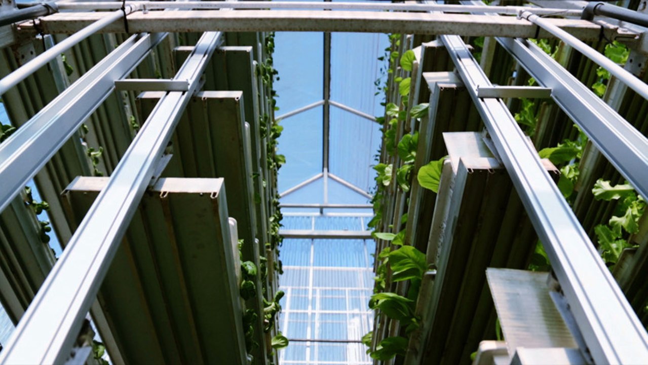Feeding 9 Billion: Vertical Farming - Singapore