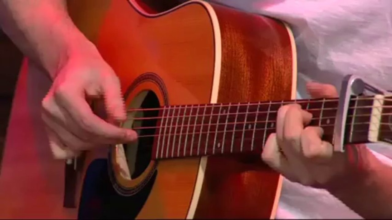 We are the bird - The queen of bees