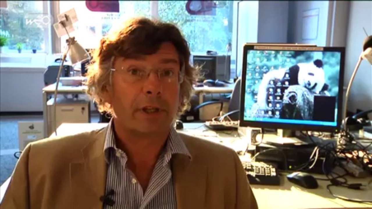 Les primaires socialistes