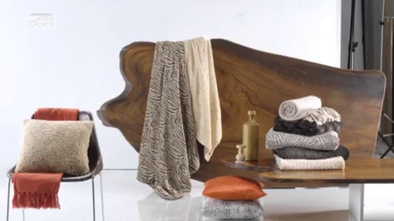 Le CV vidéo de Marion Bailleul