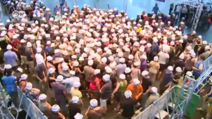 Estudio sobre el pánico de masas | Visión futuro