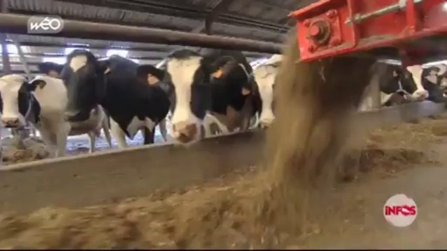 Les producteurs de lait frappés de plein fouet par la crise