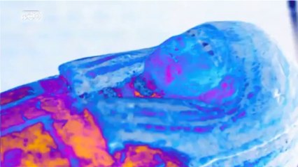 Beaux-Arts : Le sarcophage de l'enfant caché