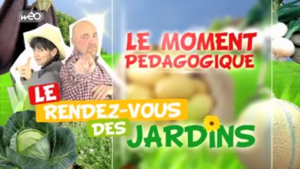 Le rendez-vous des jardins