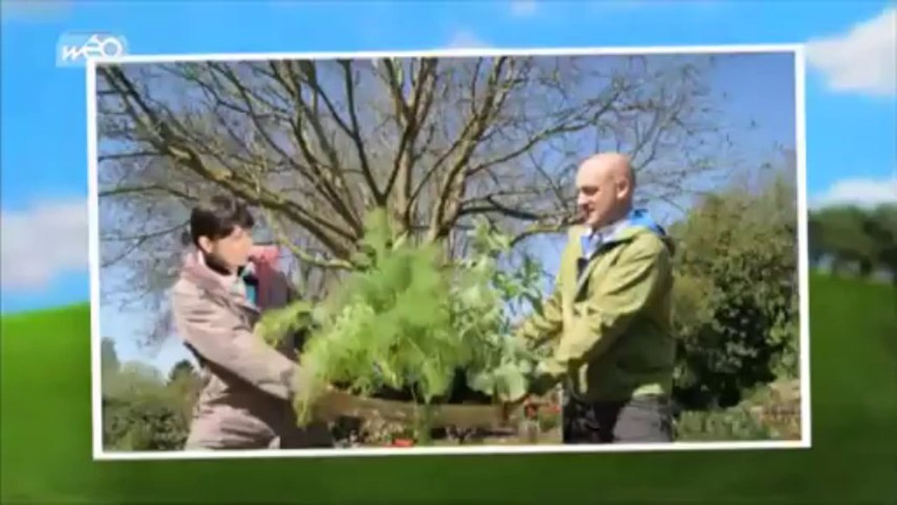 Le rendez-vous des jardins