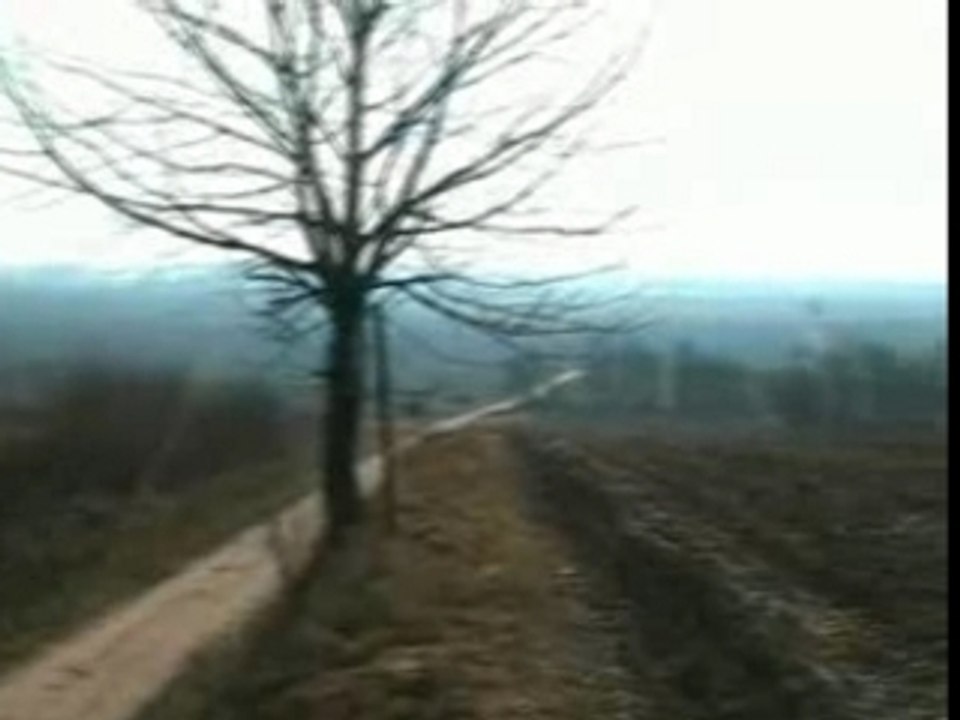Clip1