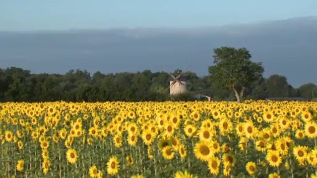 L'île d'Oléron et le bassin de Marennes, un Pays aux multiples facettes