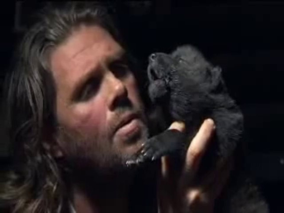 Kurda Ulumayı Öğretiyor videosunu izle - Hayvanlar - Video