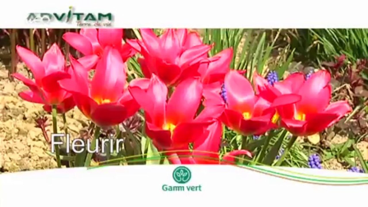 ADVITAM : la jardinerie