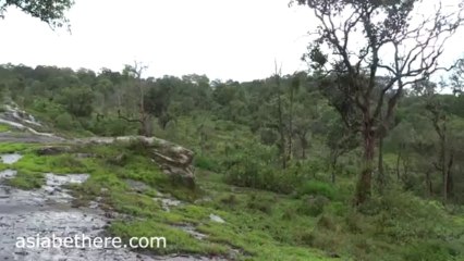 Pitsanulok Phu Hin Rongkla National Park