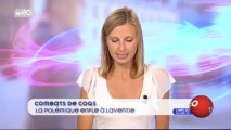 Combats de coqs : la polémique enfle à Laventie