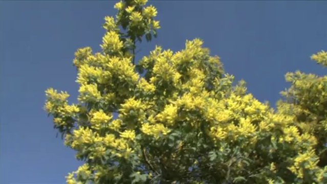 L'île d'Oléron et le bassin de Marennes ... faites le plein de nature !