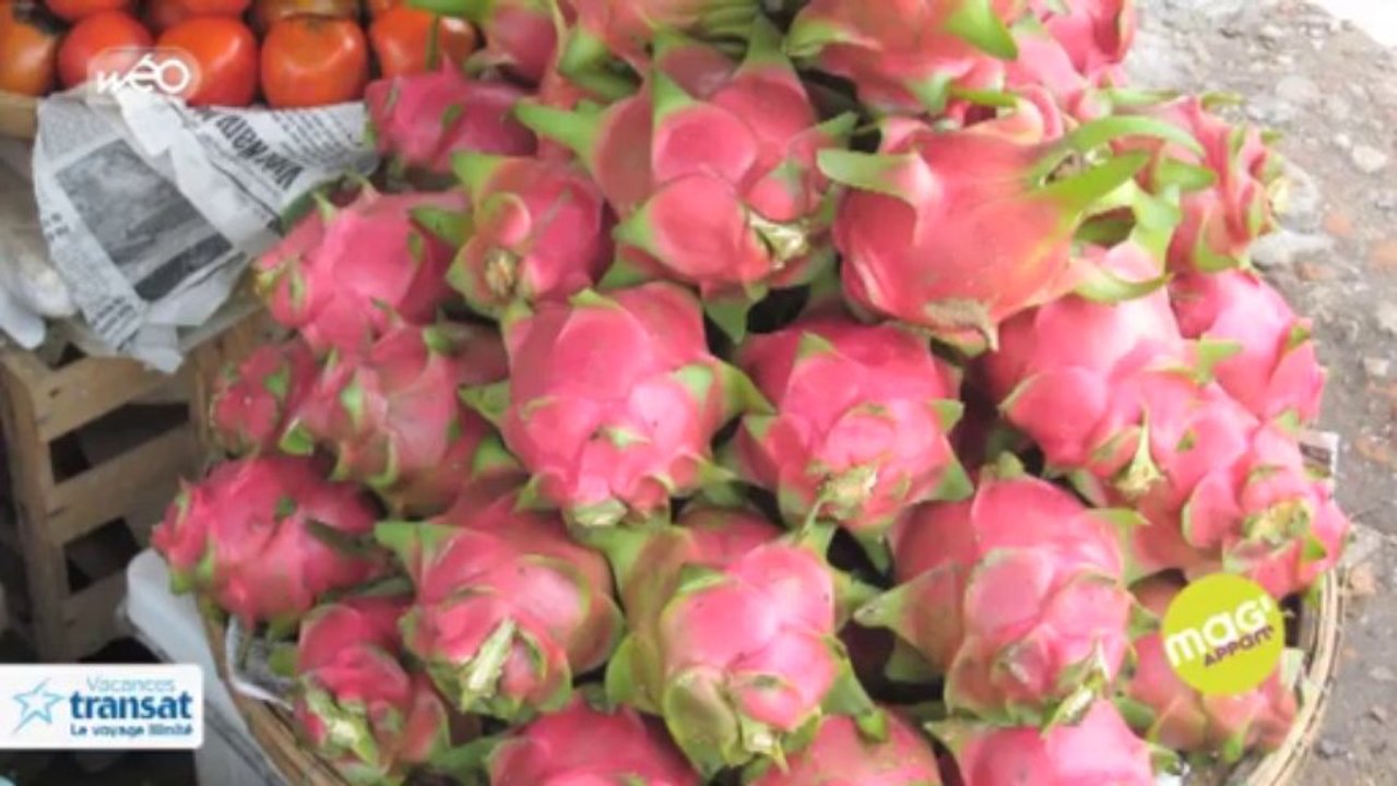 La chronique voyages : le Vietnam