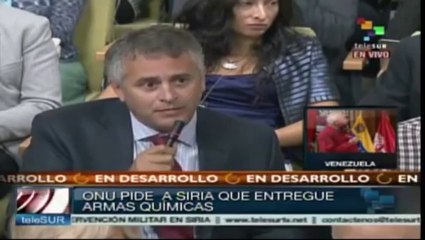 ONU: Consejo de Seguridad debe supervisar la entrega de arsenal sirio