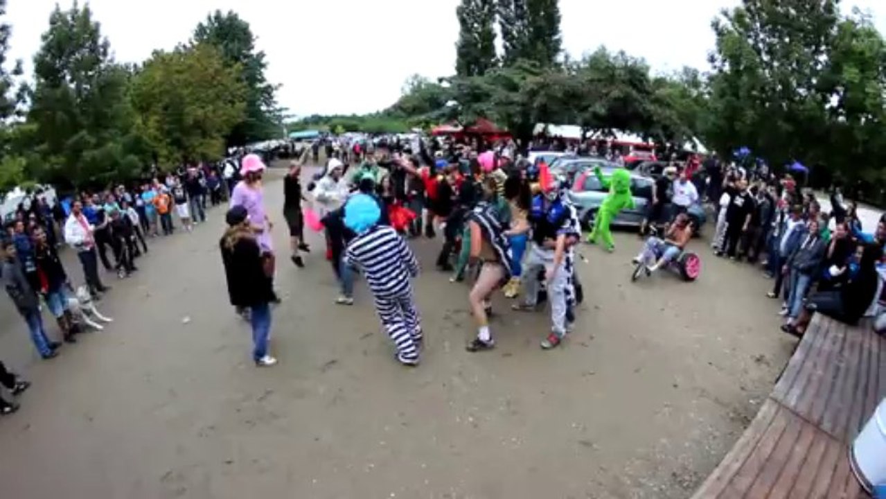 Harlem shake 10e vw show du sud ouest