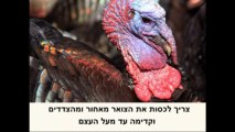 תיקון לנשמות אומללות